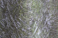 Little Vantage fibreglass roof work